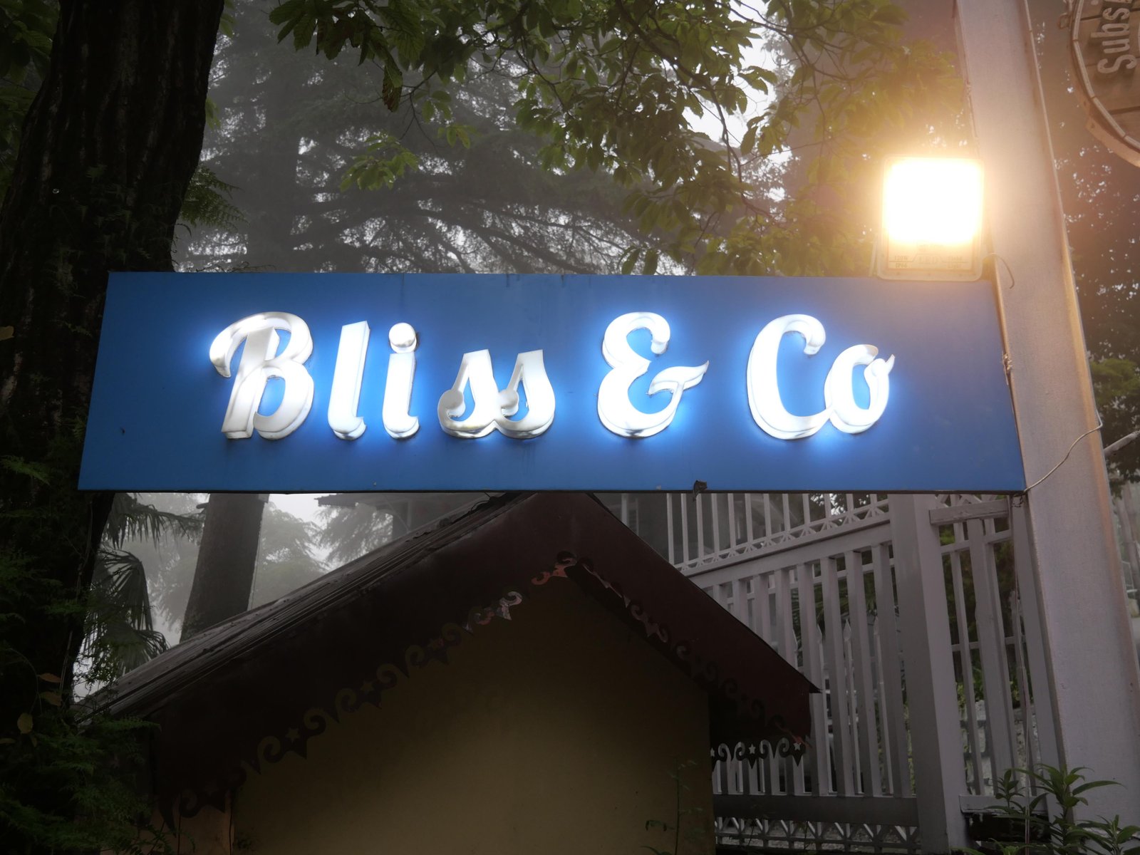 Wedding ceremony at Bliss & Co. Manor - Image 13